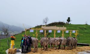 Sepp Lnd-von Rickenbach Janika